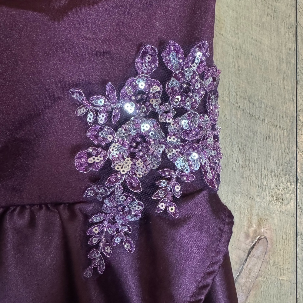 Weissman Charmeuse cutaway Chasing Cars dance costume / dress Size LC / 14 - Picture 10 of 13